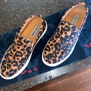 Amplify Sneaker- Steve Madden